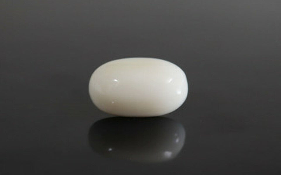 White Coral - WC 7575 (Origin-Italian) Prime - Quality