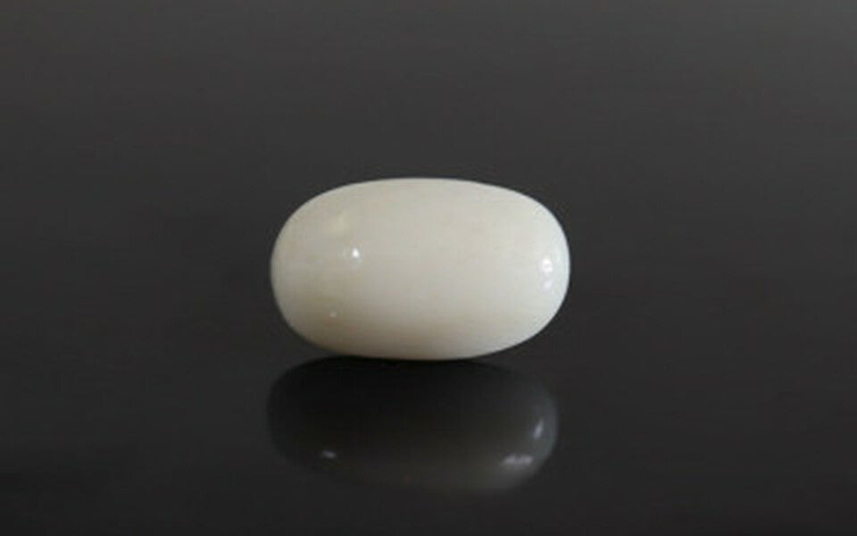 White Coral - WC 7576 (Origin-Italian) Prime - Quality