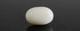 White Coral - WC 7578 (Origin-Italian) Prime - Quality
