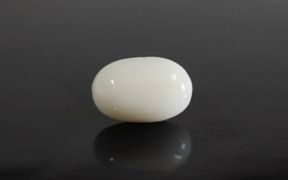 White Coral - WC 7578 (Origin-Italian) Prime - Quality
