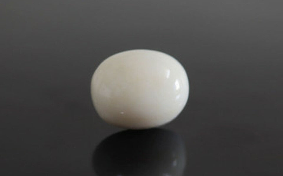White Coral - WC 7582 (Origin-Italian) Prime - Quality