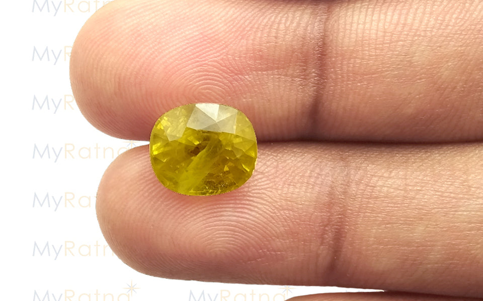 Yellow Sapphire - 6.63 Carats