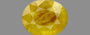Yellow Sapphire - 4.64 Carats