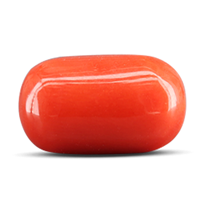 Red Coral - (Moonga)