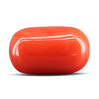 Red Coral - (Moonga)