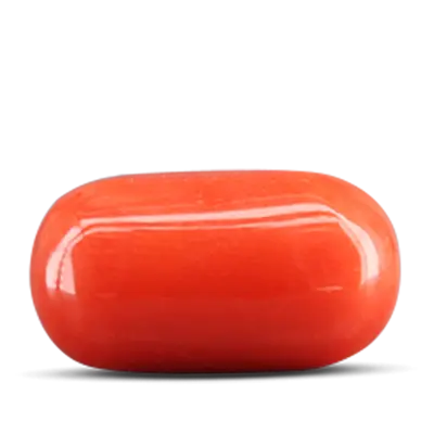 Red Coral - (Moonga)