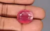 Natural Thailand Ruby - 13.77 Carat  Limited Quality  BR-7006