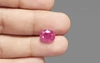 Ruby - BR 7172 (Origin - African) Limited - Quality