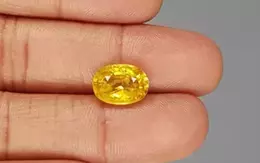 Yellow Sapphire -  5.75 Carat Limited - Quality BYS-6638