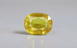Yellow Sapphire - BYS 6729 (Origin - Thailand) Limited - Quality
