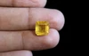 Yellow Sapphire - BYS 6733 (Origin - Thailand) Limited - Quality