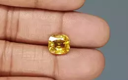 Thailand Yellow Sapphire - 4.51 Carat Rare Quality BYS-6826