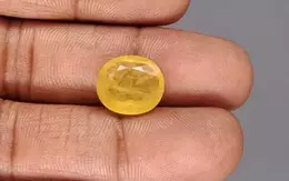 Thailand Yellow Sapphire - 7.86 Carat Prime Quality BYS-6836