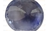 Blue Sapphire - CBS-6059 (Origin - Ceylon) Limited - Quality