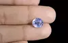Blue Sapphire - CBS-6106 (Origin - Ceylon) Limited - Quality