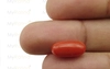 Red Coral - CC 5511 (Origin - Italy) Limited - Quality