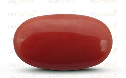 Red Coral - CC 5512 (Origin - Italy) Limited - Quality