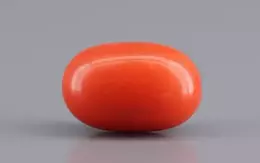 Red Coral - 4.09 Carat Limited - Quality CC-5522