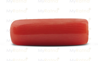 Red Coral - CC 5526 (Origin - Italy) Prime - Quality