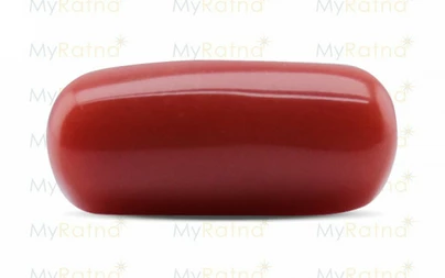Red Coral - CC 5527 (Origin - Italy) Prime - Quality