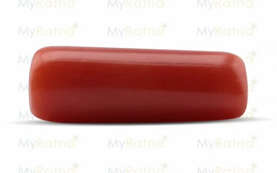 Red Coral - CC 5528 (Origin - Italy) Fine - Quality