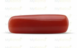 Red Coral - CC 5530 (Origin - Italy) Fine - Quality