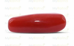 Red Coral - CC 5548 (Origin - Italy) Fine - Quality