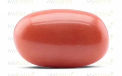 Red Coral - CC 5551 (Origin - Italy) Limited - Quality