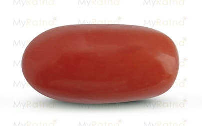 Red Coral - CC 5557 (Origin - Italy) Limited - Quality