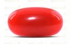 Red Coral - CC 5560 (Origin - Italy) Limited - Quality