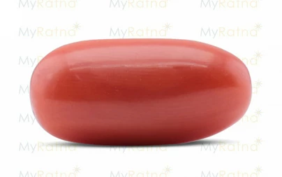 Red Coral - CC 5563 (Origin - Italy) Limited - Quality