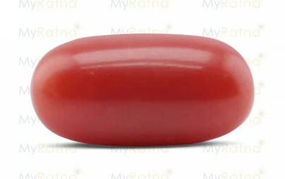 Red Coral - CC 5567 (Origin - Italy) Limited - Quality