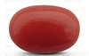 Red Coral - CC 5575 (Origin - Italy) Limited - Quality