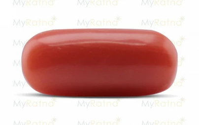 Red Coral - CC 5585 (Origin - Italy) Prime - Quality