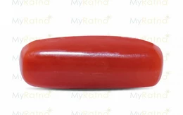 Red Coral - CC 5586 (Origin - Italy) Fine - Quality