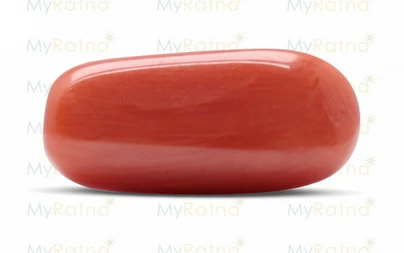Red Coral - CC 5590 (Origin - Italy) Fine - Quality