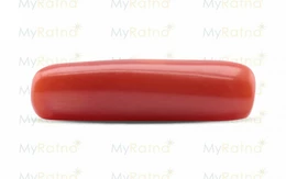 Red Coral - CC 5606 (Origin - Italy) Fine - Quality