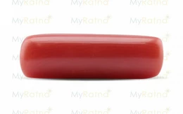 Red Coral - CC 5607 (Origin - Italy) Fine - Quality