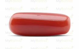Red Coral - CC 5610 (Origin - Italy) Prime - Quality