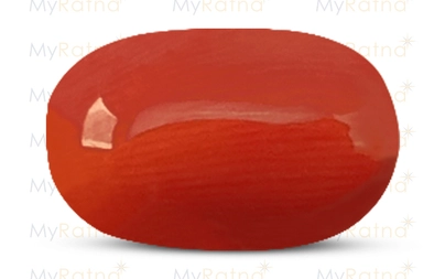 Red Coral - CC 5613 (Origin - Italy) Limited - Quality