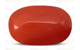 Red Coral - CC 5616 (Origin - Italy) Limited - Quality
