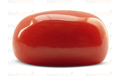 Red Coral - CC 5619 (Origin - Italy) Limited - Quality