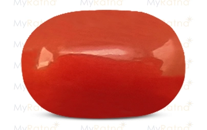 Red Coral - CC 5622 (Origin - Italy) Limited - Quality