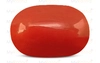 Red Coral - CC 5622 (Origin - Italy) Limited - Quality