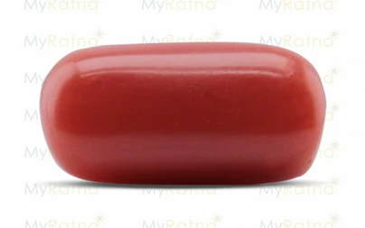 Red Coral - CC 5626 (Origin - Italy) Prime - Quality