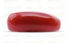 Red Coral - CC 5628 (Origin - Italy) Limited - Quality