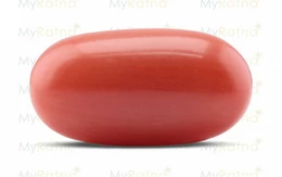 Red Coral - CC 5631 (Origin - Italy) Limited - Quality