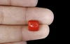 Red Coral - CC 5635 (Origin - Italy) Limited - Quality