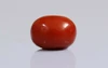 Red Coral - CC 5640 (Origin - Italy) Limited - Quality