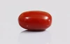 Red Coral - CC 5644 (Origin - Italy) Limited - Quality